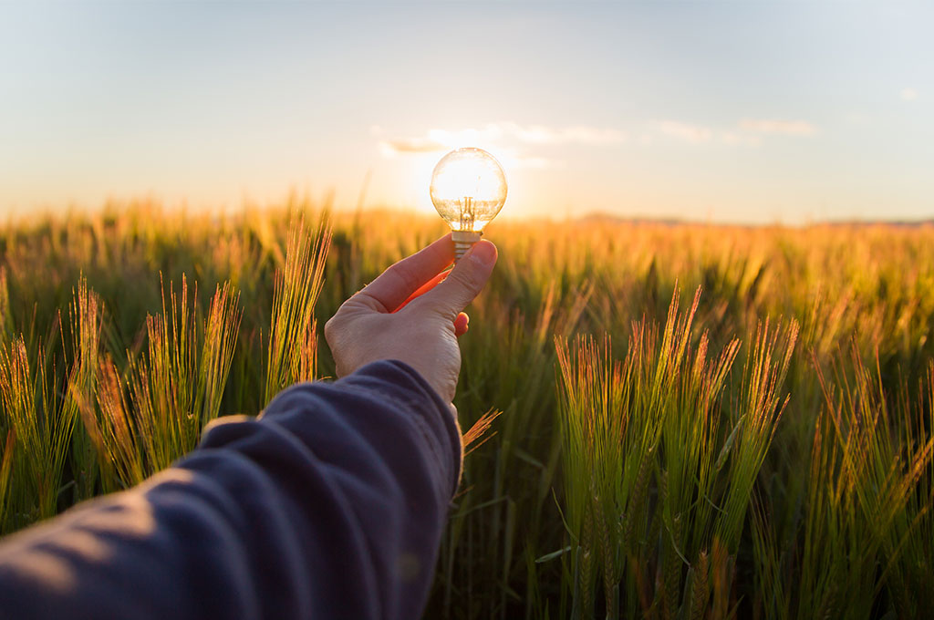 soleil à travers une ampoule dans un champ